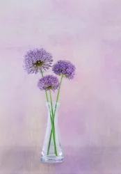 Fleurs violettes dans un vase d