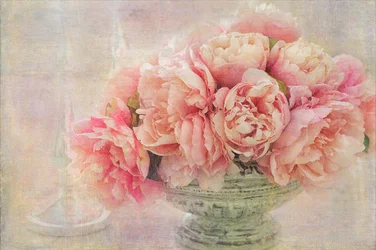 Pivoines roses romantiques