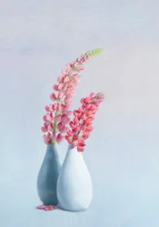 Vases « Lupin rose pâle »