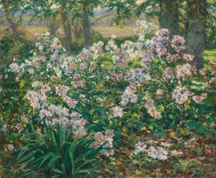Anémones, 1912
