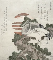 Grue (Tsuru) de la série 2 dessins de grues et tortues, 1818-30