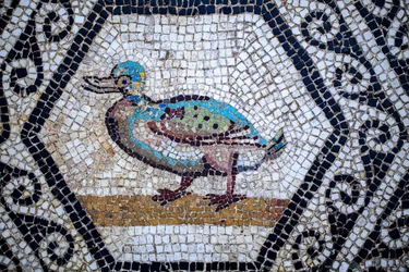 Mosaïque romaine