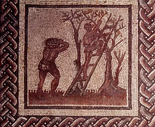 Art gallo-romain : pavement en mosaïque représentant un calendrier rustique. Scène de cueillette d