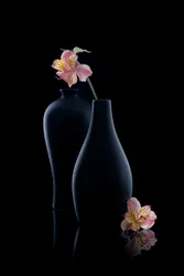 Élégantes alstroémères dans des vases