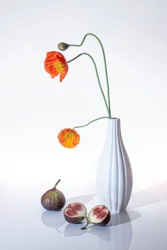 Coquelicots orange et figues