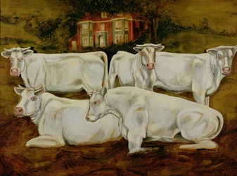 Taureaux Charolais, Dippenhall, Farnham