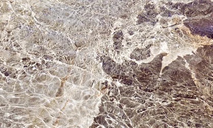 Motifs aquatiques dorés
