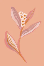 Fleurs de pêcher en pleine floraison