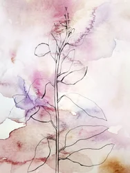 Aquarelle botanique rose