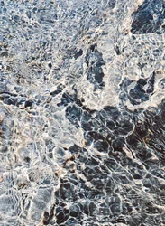 Motifs aquatiques ensoleillés
