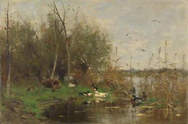 Canards à côté d