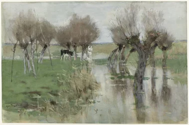Hautes eaux dans le pré