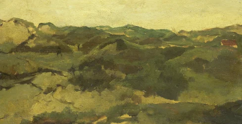 Un paysage de bruyère