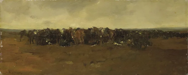 La cavalerie au repos