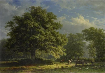 Vue dans la forêt de Bentheim