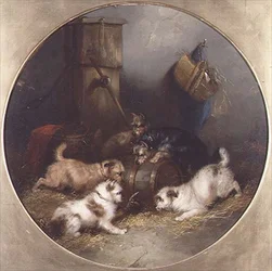 Terriers chassant les rats dans une grange
