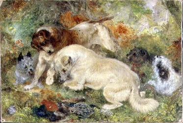 Terriers et Lapins dans un Bois
