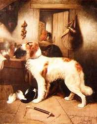 La cuisine du garde-chasse