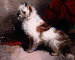 En attendant le maître