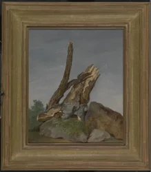 Étude de rochers et de branches, vers 1795