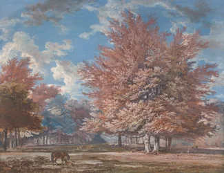 Vue dans un parc