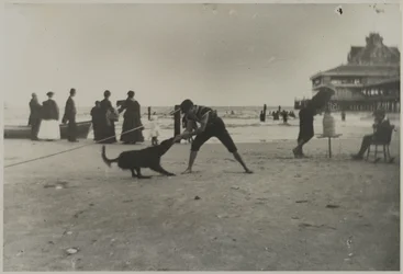 Garçon et chien, Iron Pier, Coney Island, Brooklyn, c.1885