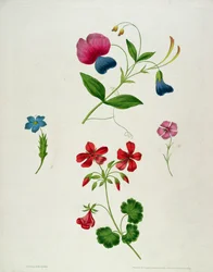 Une illustration tirée de 