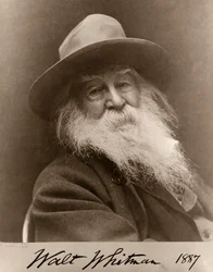 Portrait de Walt Whitman en 1887