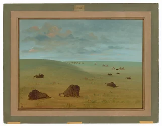 Après la chasse au bison - Sioux
