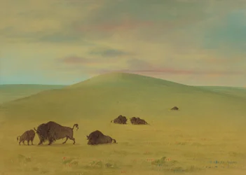 Pâturage américain - Prairies de la Platte, 1861-1869