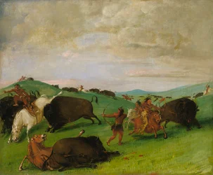 Chasse au bison, les taureaux combattent avec des hommes et des chevaux, 1832-1833