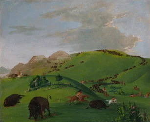 Buffalo Chase, embouchure du Yellowstone