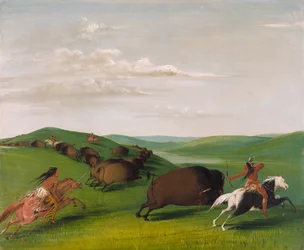 Chasse au bison avec arcs et lances