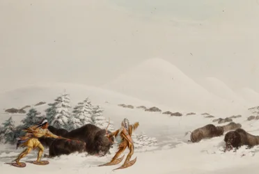 Chasse au bison en raquettes