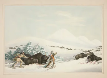 Chasse au bison, en raquettes, pl. 15 du portfolio des Indiens d
