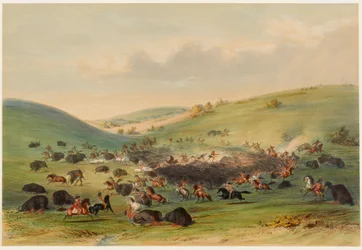 Chasse au bison, encerclement