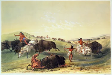 Chasse au bison, planche 7 de la collection des Indiens d