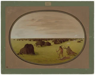 Catlin et Indien attaquant un buffle