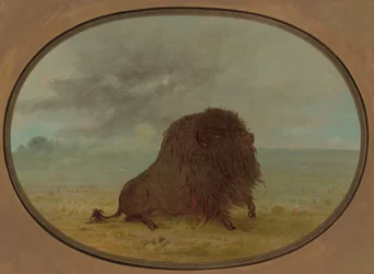 Buffle mourant, 1861-1869