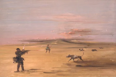 Chasse au tétras dans les prairies du Missouri