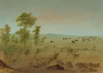 Buffle embourbé et loups, 1861-1869