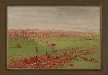 Carrière de pierre à fusil sur le Coteau des Prairies
