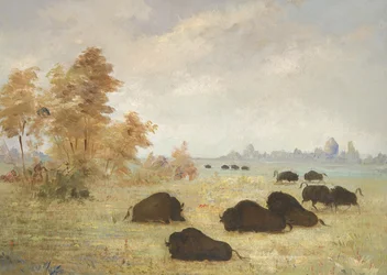 Traque aux buffles, Arkansas