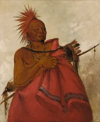 Tcha-tó-ga, Bison furieux, meurtrier de deux hommes blancs, 1834.