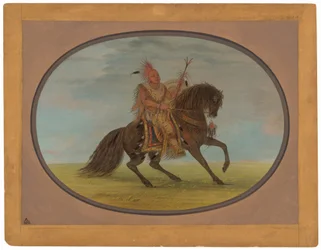 Le renard sur un beau cheval - Saukie