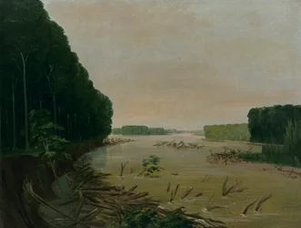 Vue sur le Missouri, Rives Alluviales S