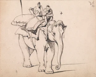 Un éléphant