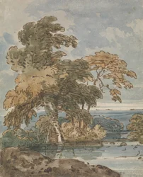 Arbres près d