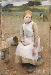 Petite rose