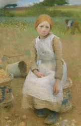 Petite Rose